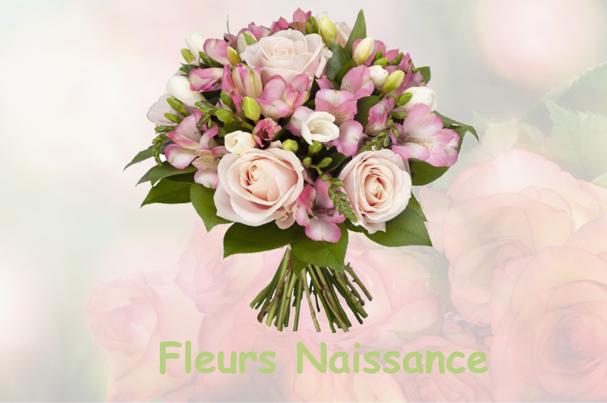 fleurs naissance SAINT-CLOUD