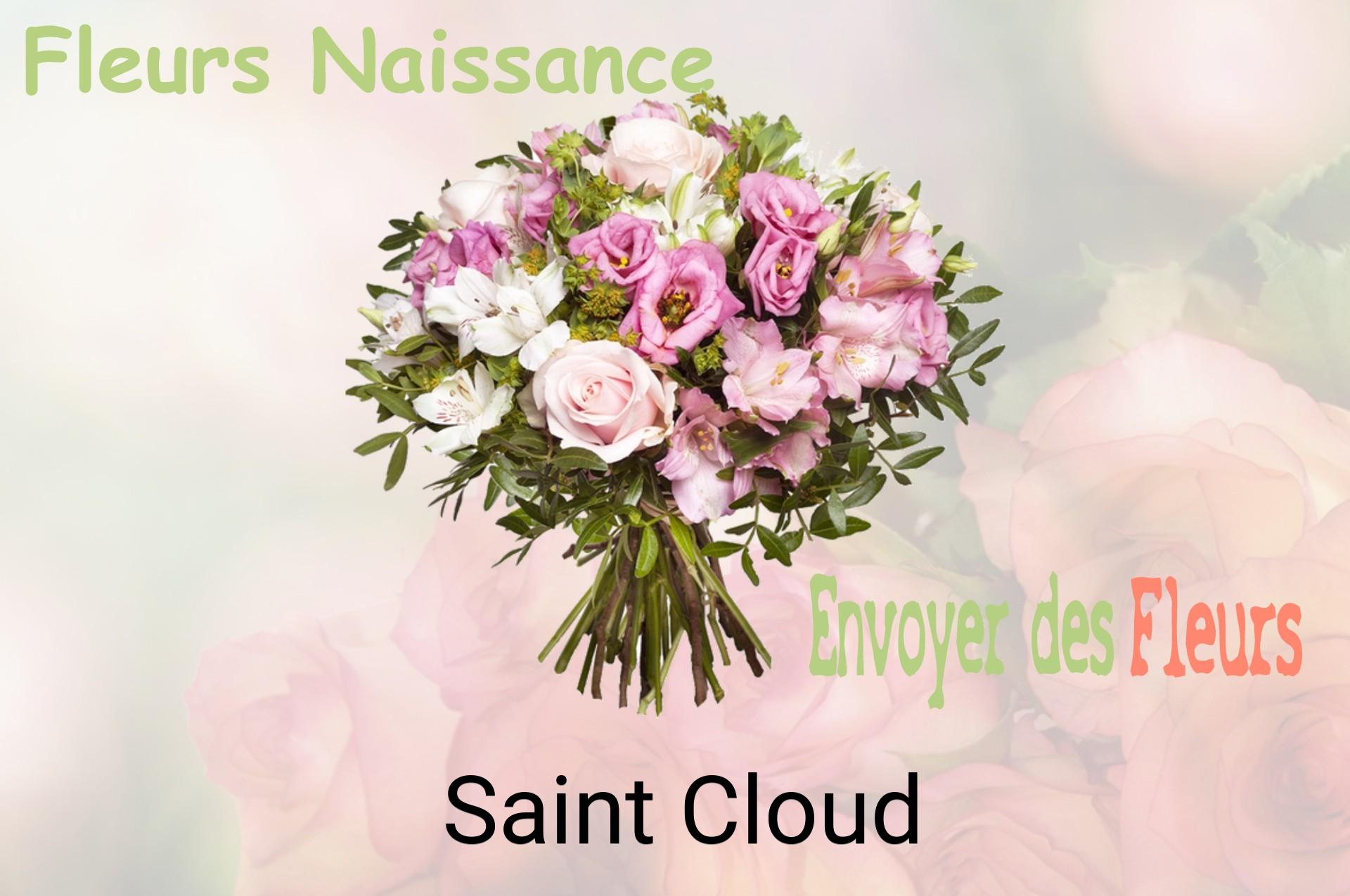 Bouquet de fleurs de naissance livré à Saint-Cloud